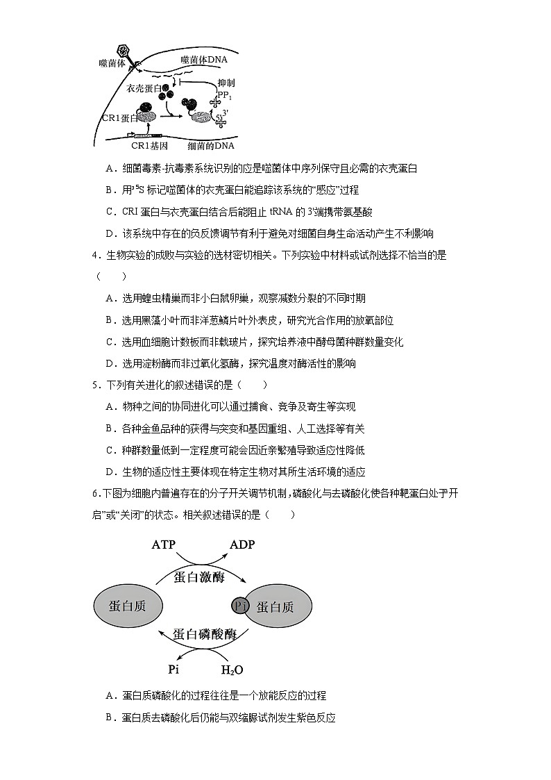 2024届江苏省常州市前黄高级中学高三下学期一模适应性考试生物试题（附参考答案）02