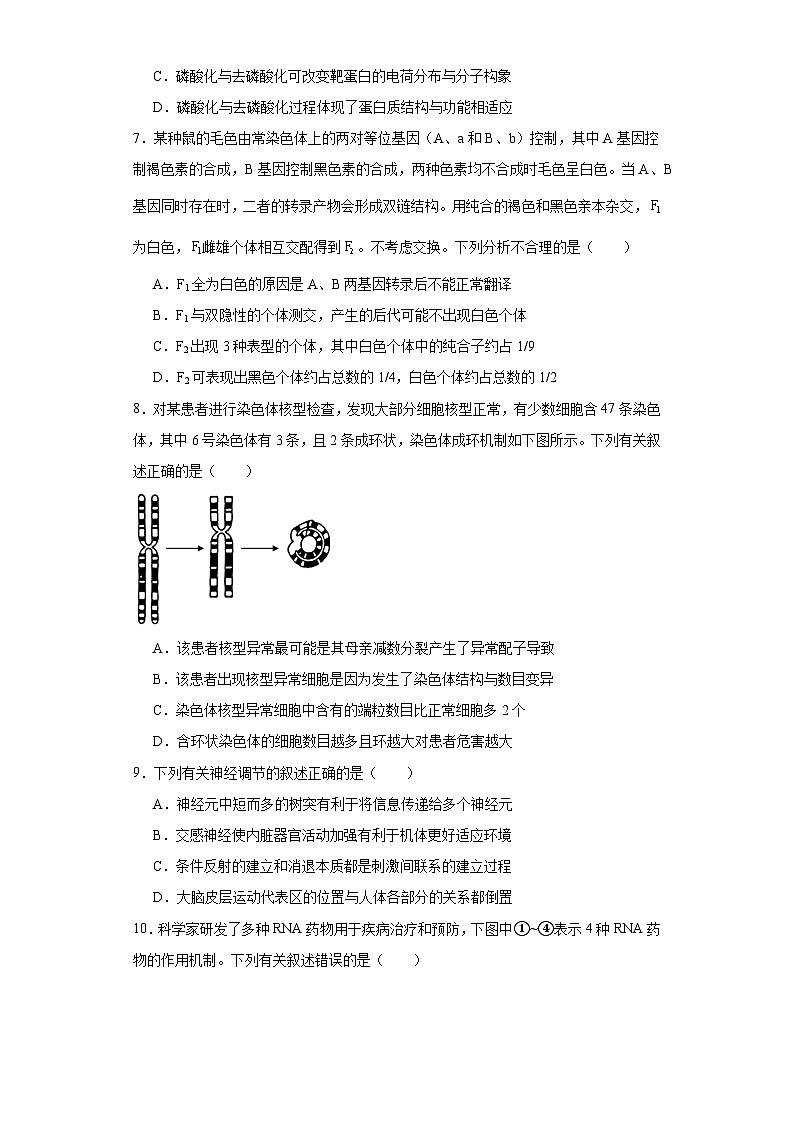 2024届江苏省常州市前黄高级中学高三下学期一模适应性考试生物试题（附参考答案）03