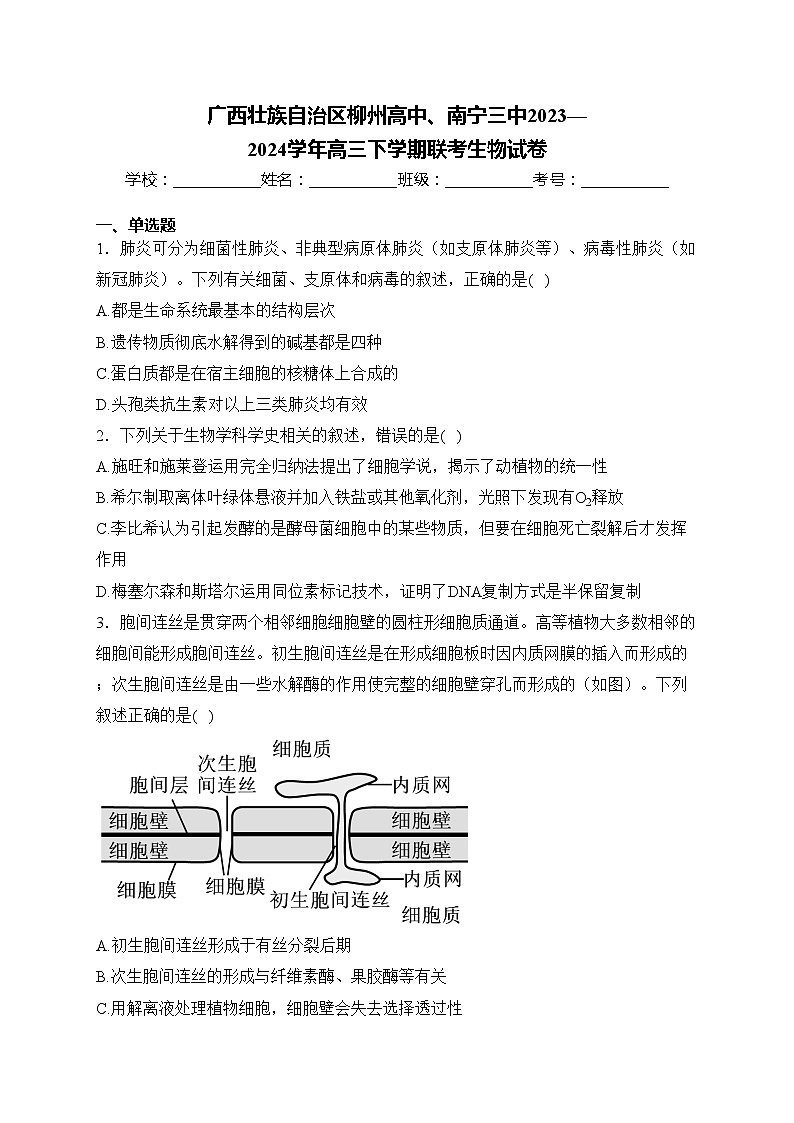 广西壮族自治区柳州高中、南宁三中2023—2024学年高三下学期联考生物试卷(含答案)01