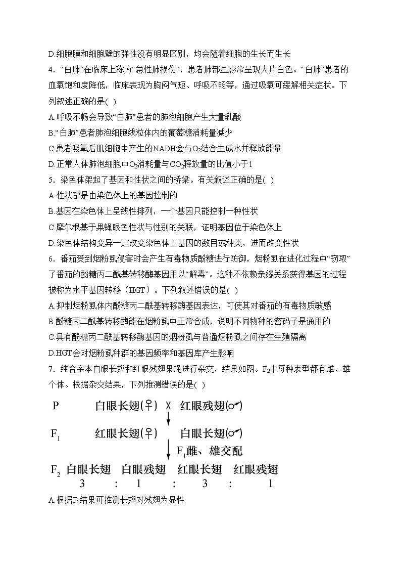 广西壮族自治区柳州高中、南宁三中2023—2024学年高三下学期联考生物试卷(含答案)02