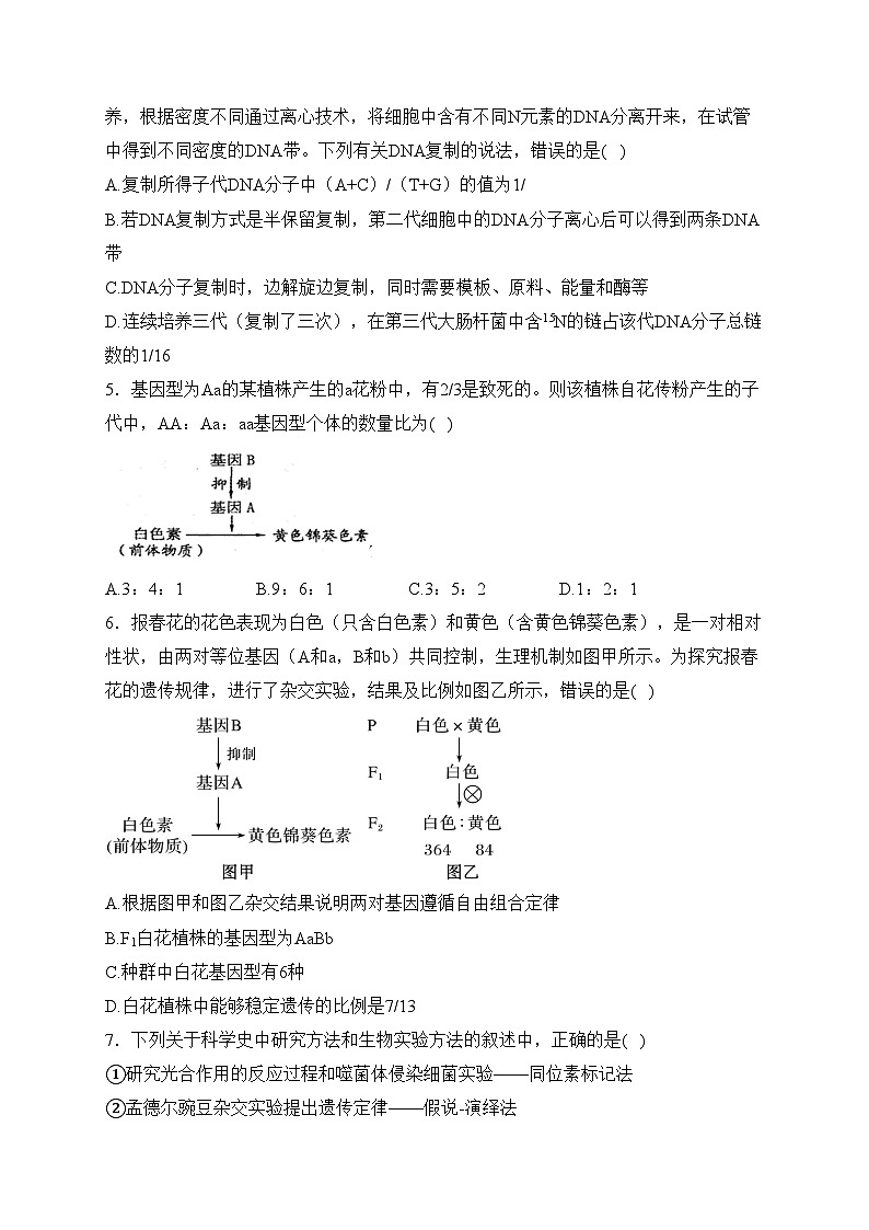 江苏省盐城市三校（盐城一中、亭湖高中、大丰中学）2022-2023学年高一下学期期中联考生物试卷(含答案)第2页
