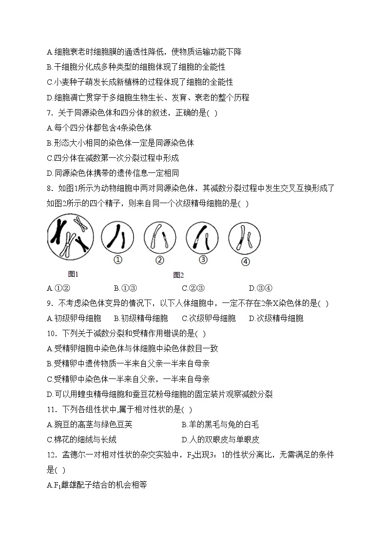 江苏省盐城市五校联考2023-2024学年高一下学期3月月考生物试卷(含答案)第2页