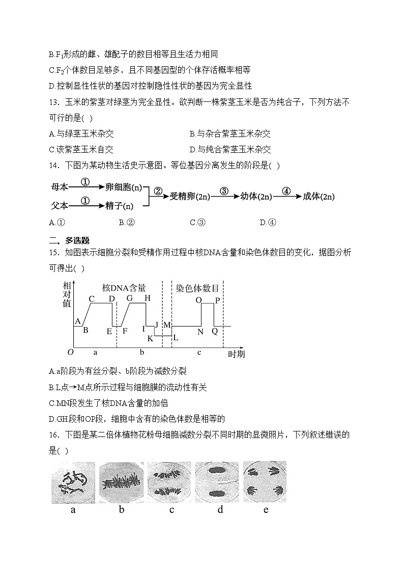 江苏省盐城市五校联考2023-2024学年高一下学期3月月考生物试卷(含答案)第3页