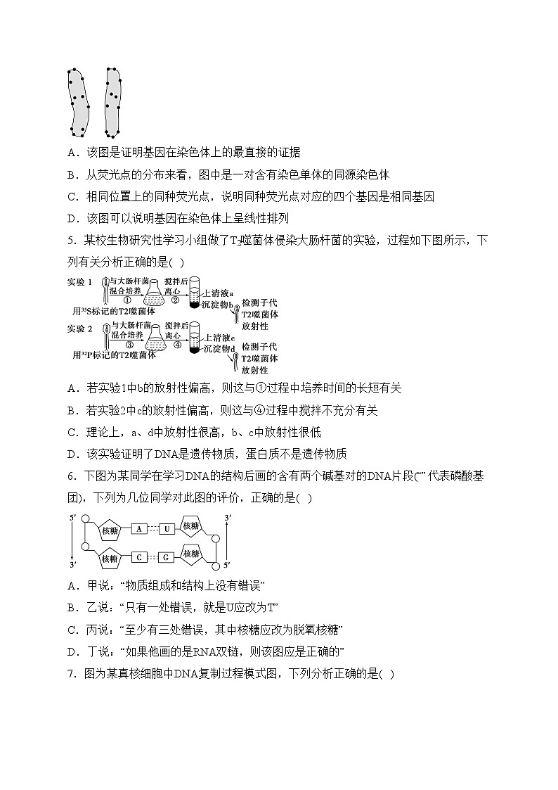 绥宁县第一中学2022-2023学年高一下学期期末考试生物试卷(含答案)02