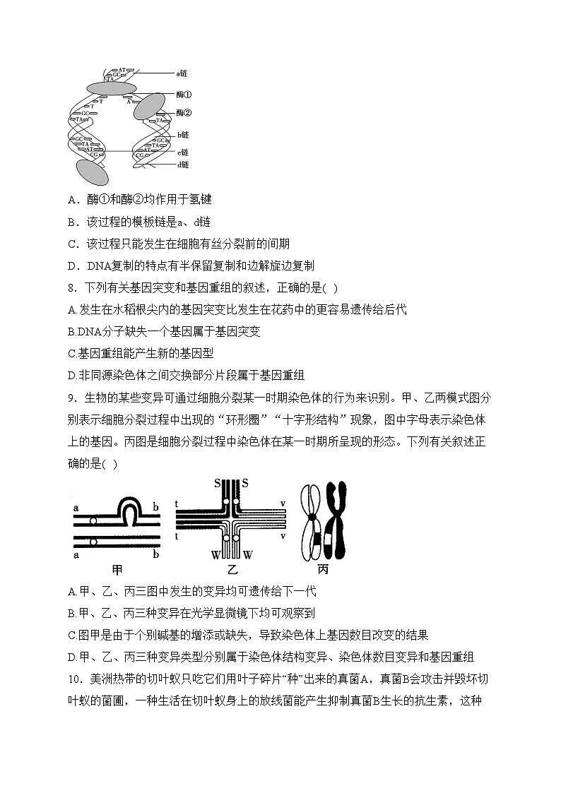 绥宁县第一中学2022-2023学年高一下学期期末考试生物试卷(含答案)03