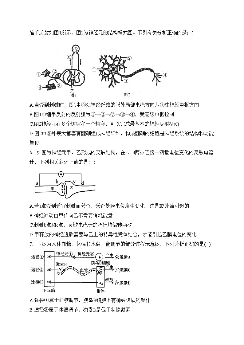 宣威市第三中学2023-2024学年高二下学期第一次月考生物试卷(含答案)第2页