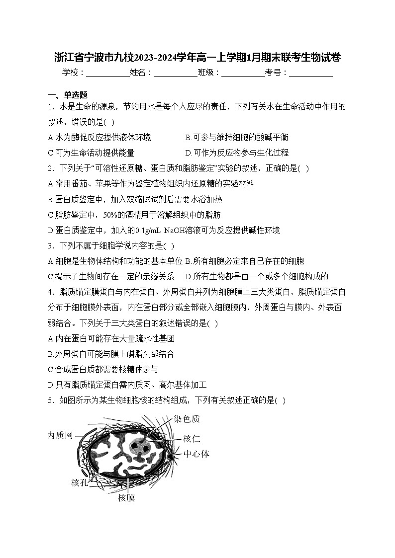 浙江省宁波市九校2023-2024学年高一上学期1月期末联考生物试卷(含答案)01