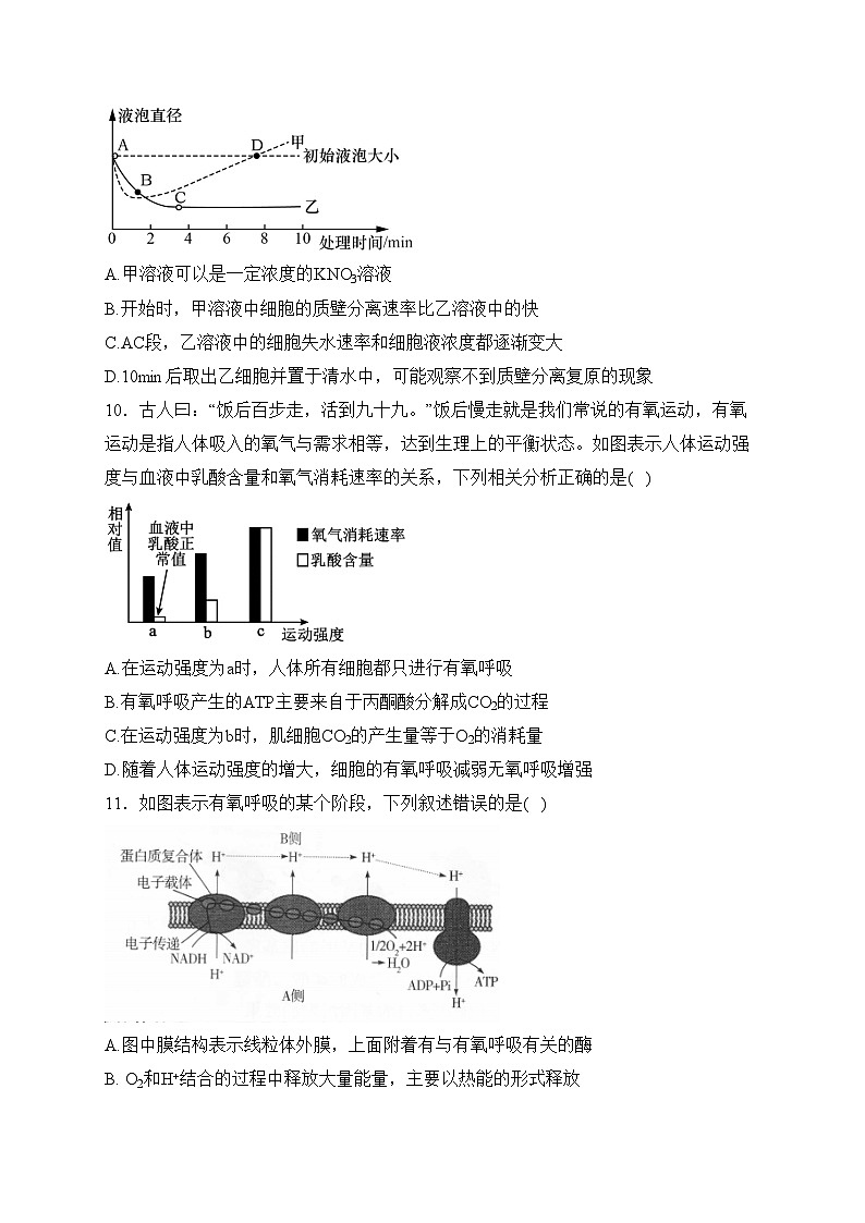 浙江省宁波市九校2023-2024学年高一上学期1月期末联考生物试卷(含答案)03
