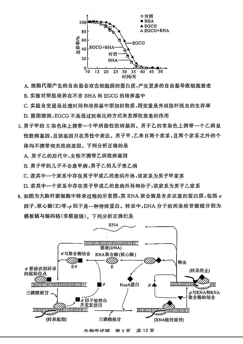 湖北省2024届高三下学期第二次学业质量评价生物试题第3页