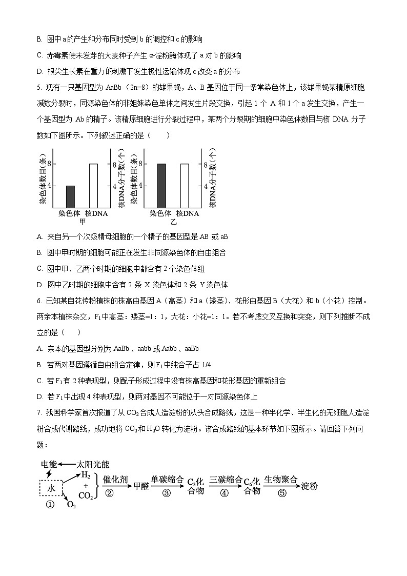 四川省绵阳南山中学2023-2024学年高三下学期入学考试生物试题（Word版附解析）02