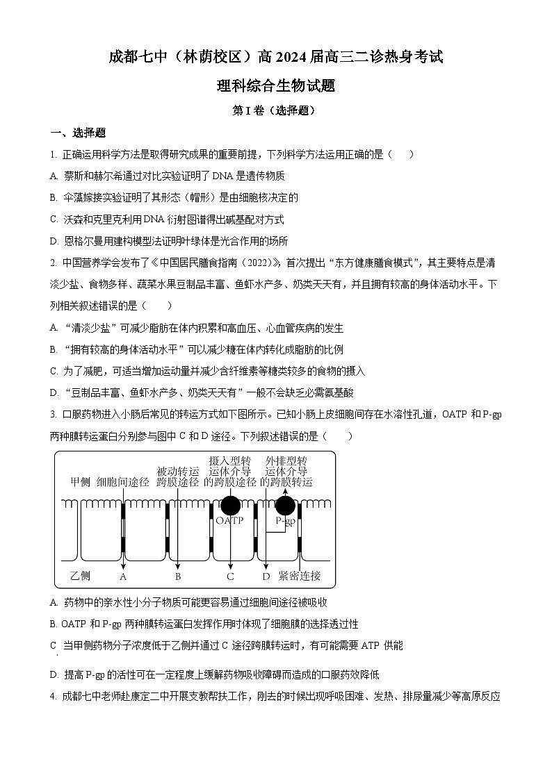 四川省成都市第七中学（林荫校区）2023-2024学年高三下学期二诊热身考试（3月15日）理综生物试题 Word版无答案第1页