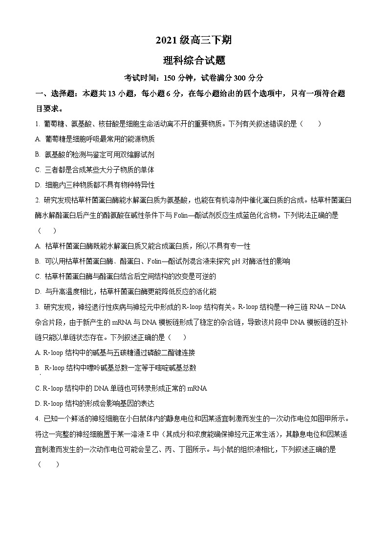 2024届四川省眉山市仁寿第一中学（北校区）高三二模理综生物试题 Word版无答案第1页
