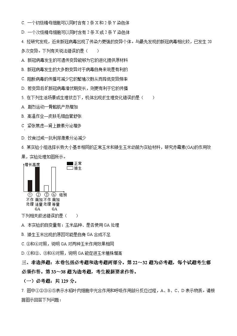 2024届四川省绵阳中学高三下学期测试（一）理综生物试题 Word版无答案第2页