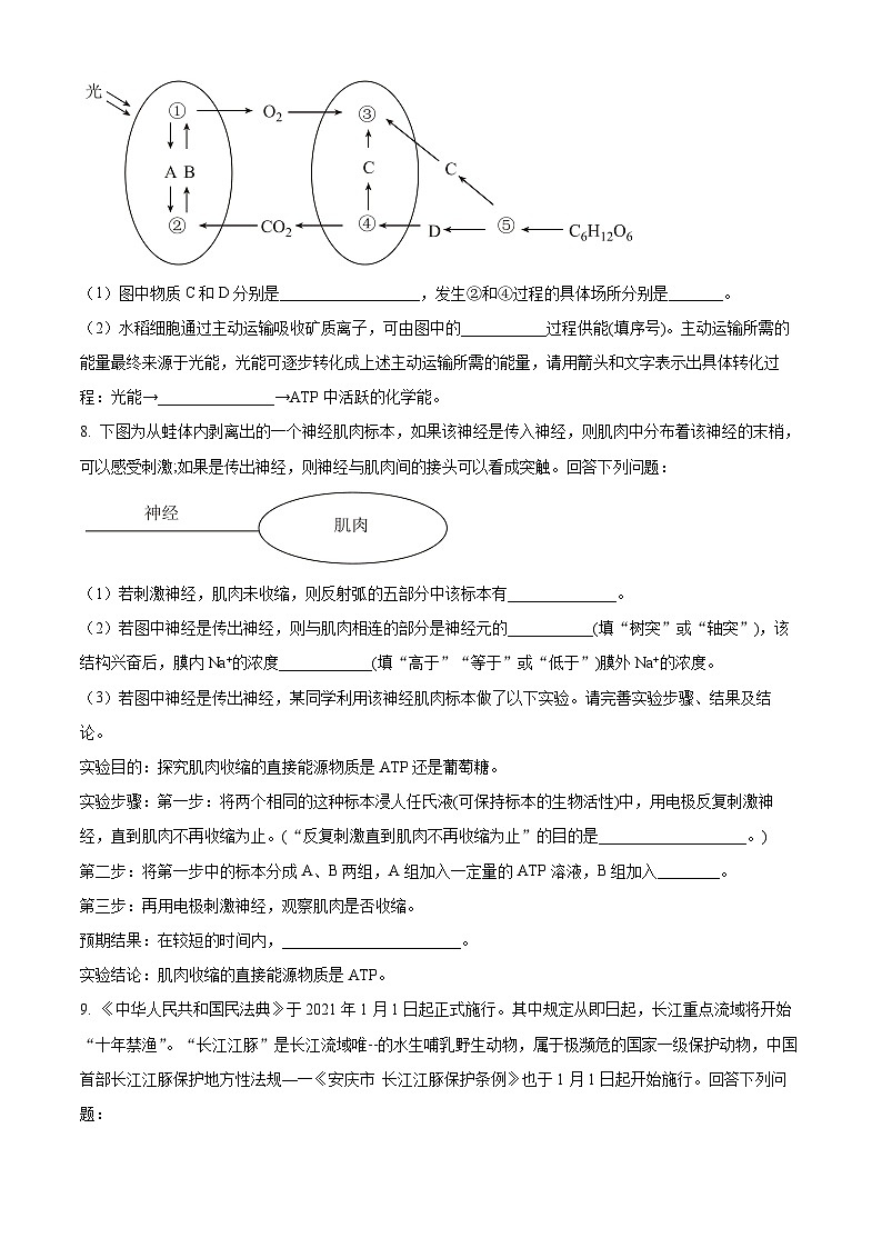 2024届四川省绵阳中学高三下学期测试（一）理综生物试题 Word版无答案第3页