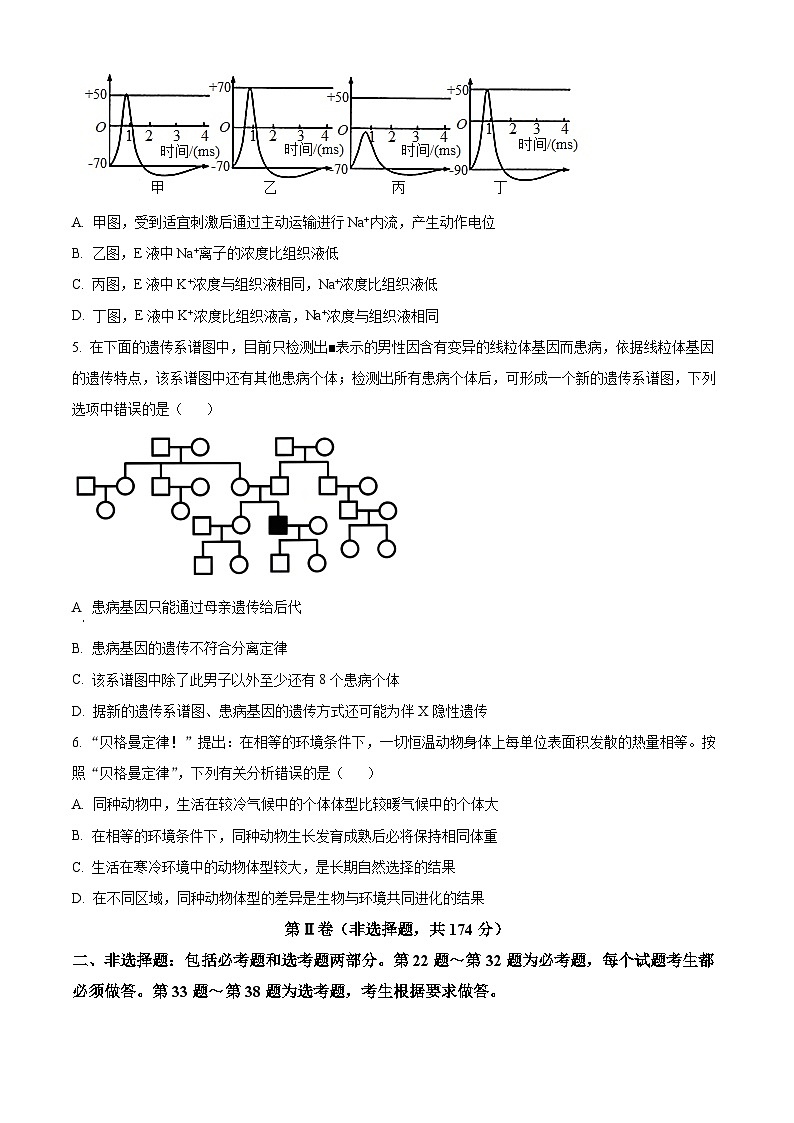 四川省成都市第七中学2024届高三下学期二模诊断考试生物试题（Word版附解析）02
