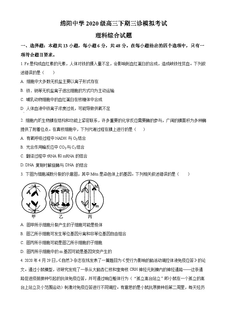 四川省绵阳中学2023届高三下学期三诊模拟考试生物试题（Word版附解析）01