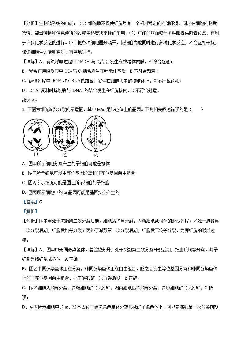 四川省绵阳中学2023届高三下学期三诊模拟考试生物试题（Word版附解析）02