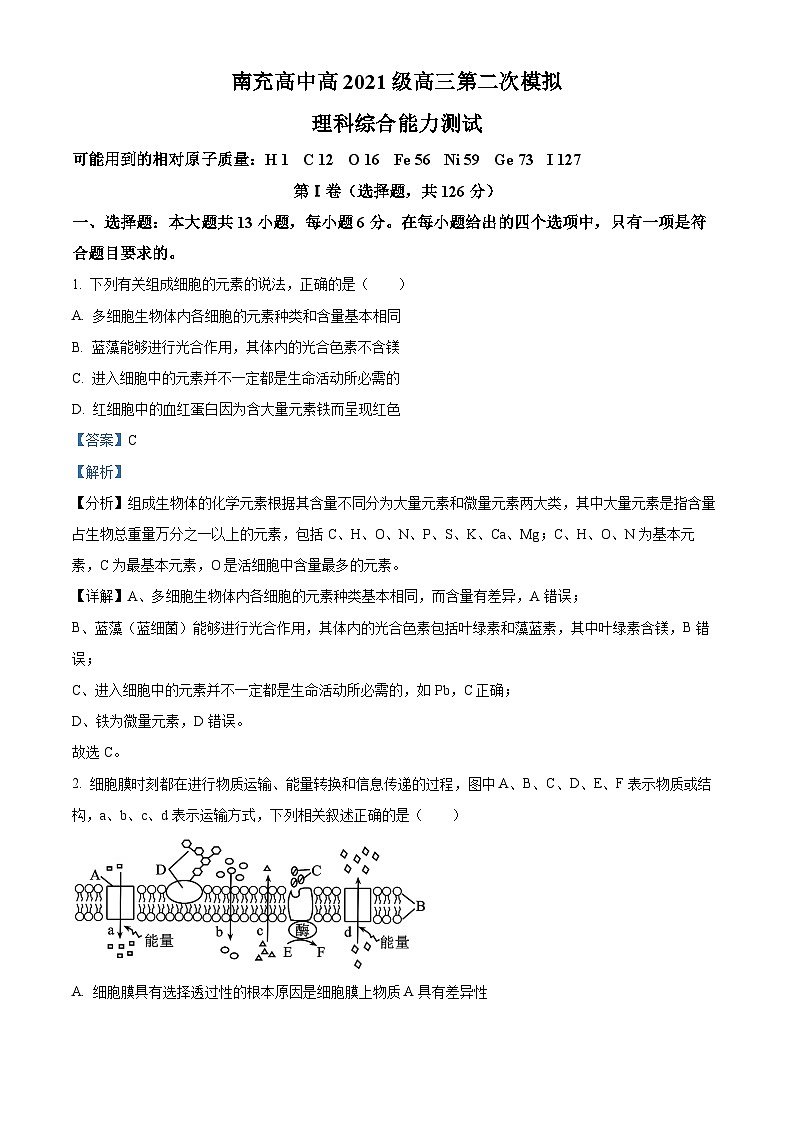 四川省南充高级中学2024届高三下学期二模生物试题（Word版附解析）01