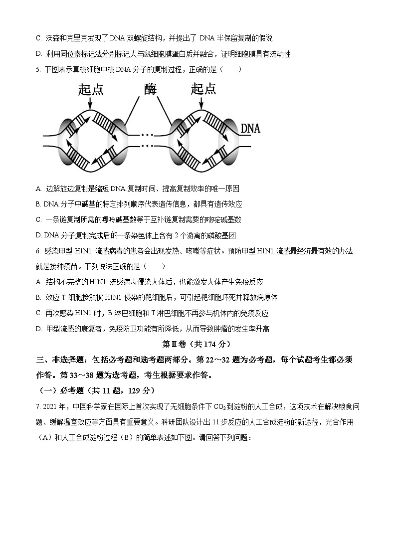 四川省南充高级中学2024届高三下学期二模生物试题（Word版附解析）02