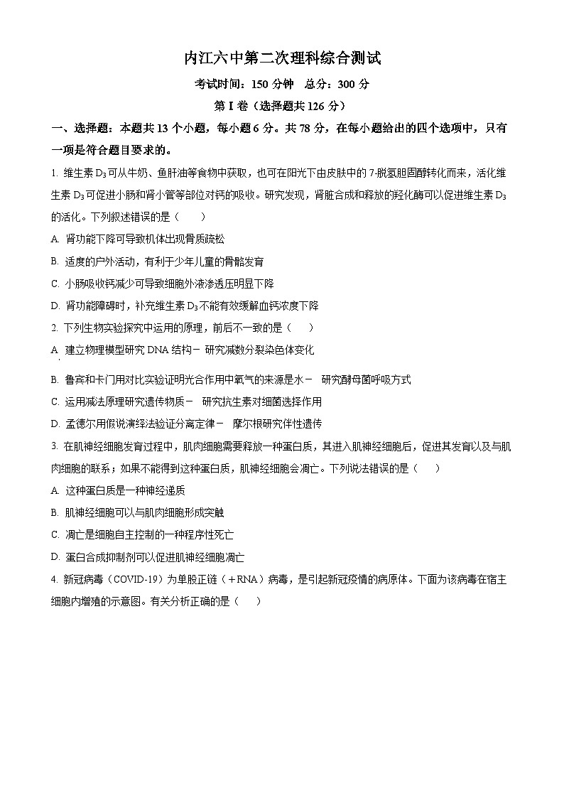 四川省内江市六中2023-2024学年高三下学期入学考试生物试题（Word版附解析）01