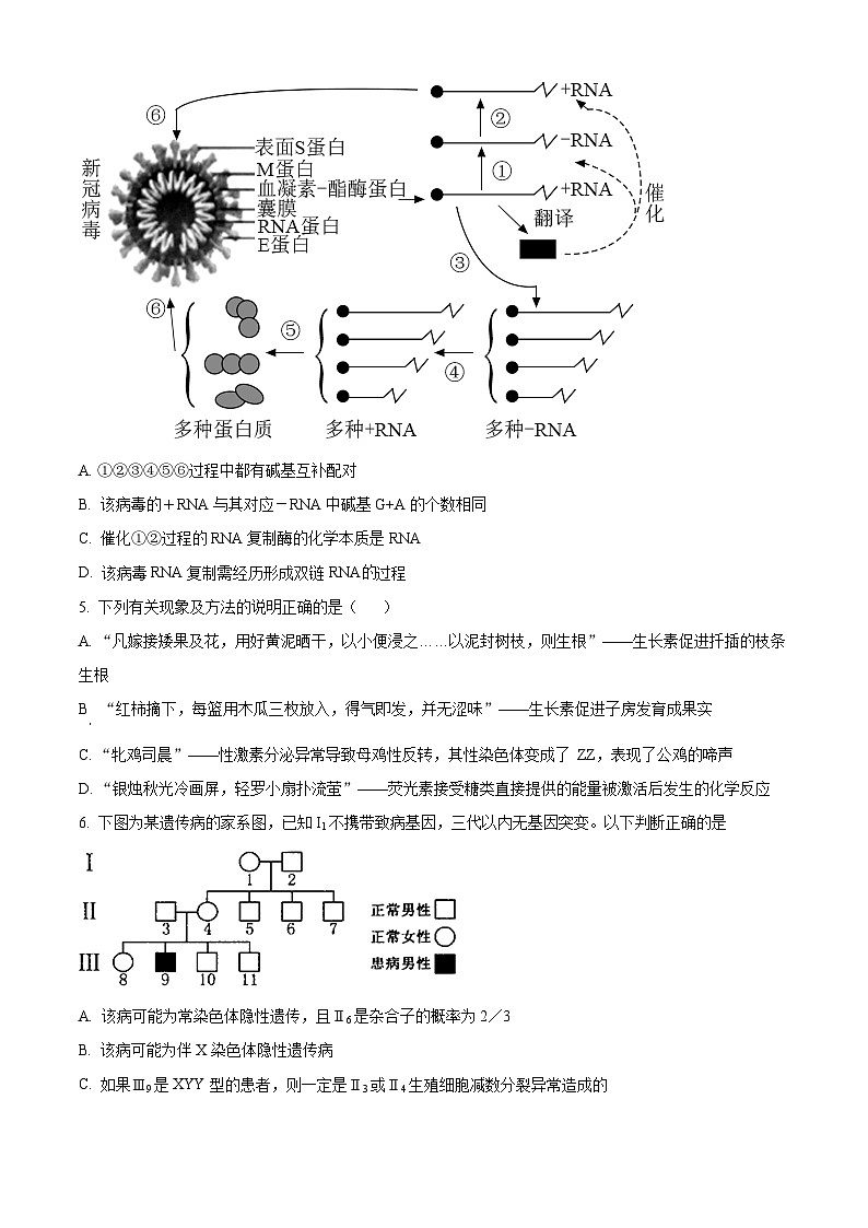 四川省内江市六中2023-2024学年高三下学期入学考试生物试题（Word版附解析）02