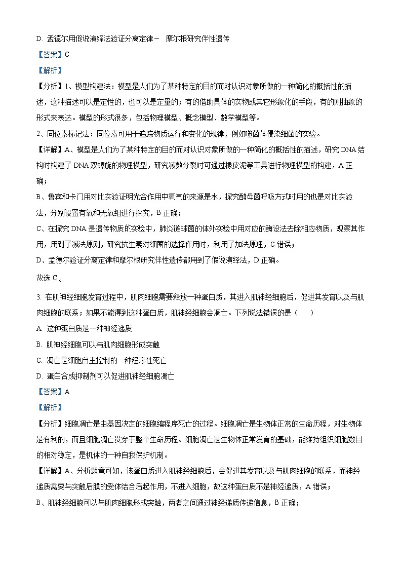四川省内江市六中2023-2024学年高三下学期入学考试生物试题（Word版附解析）02