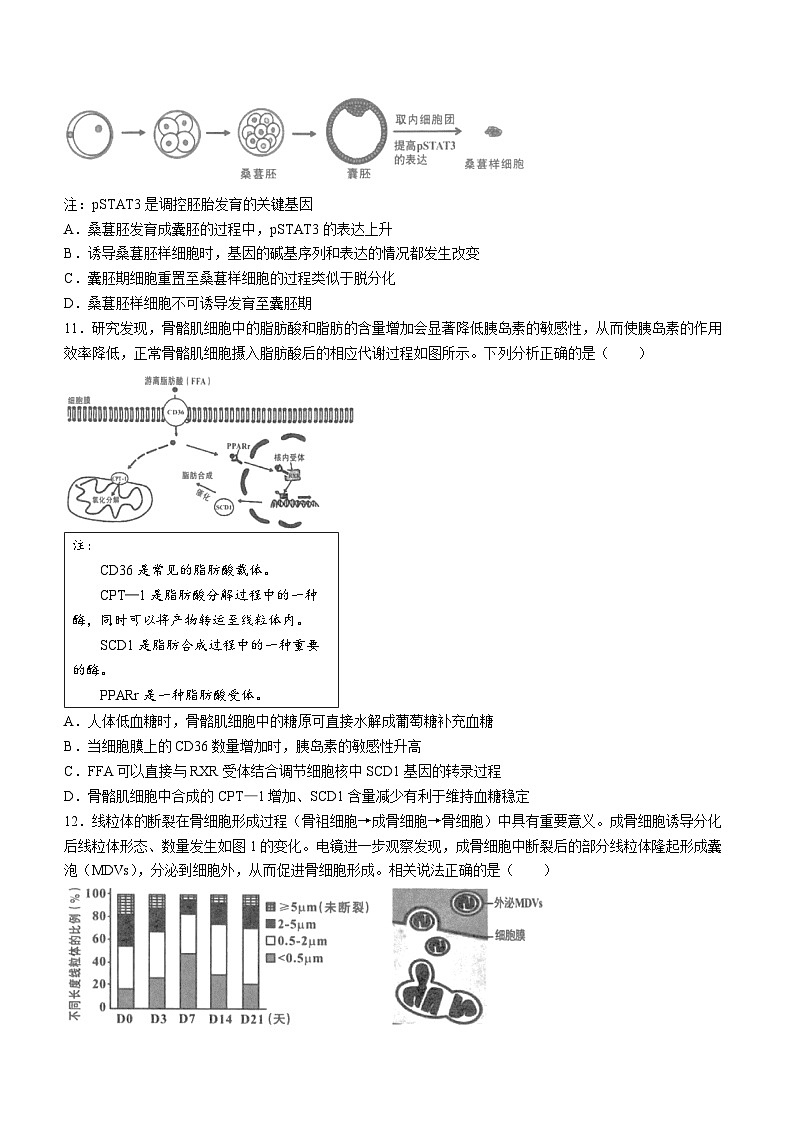 2024届福建省龙岩市高考二模生物试题(无答案)03