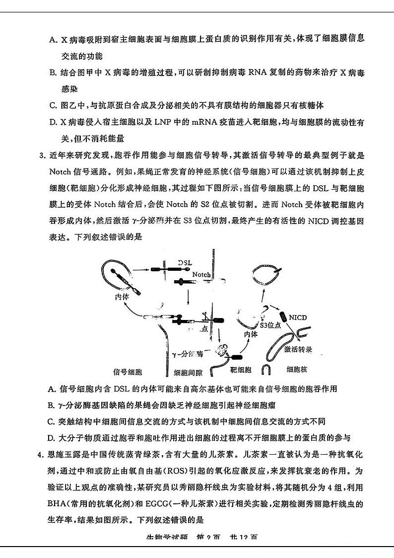 2024届湖北省高三下学期第二次学业质量评价生物试题第2页