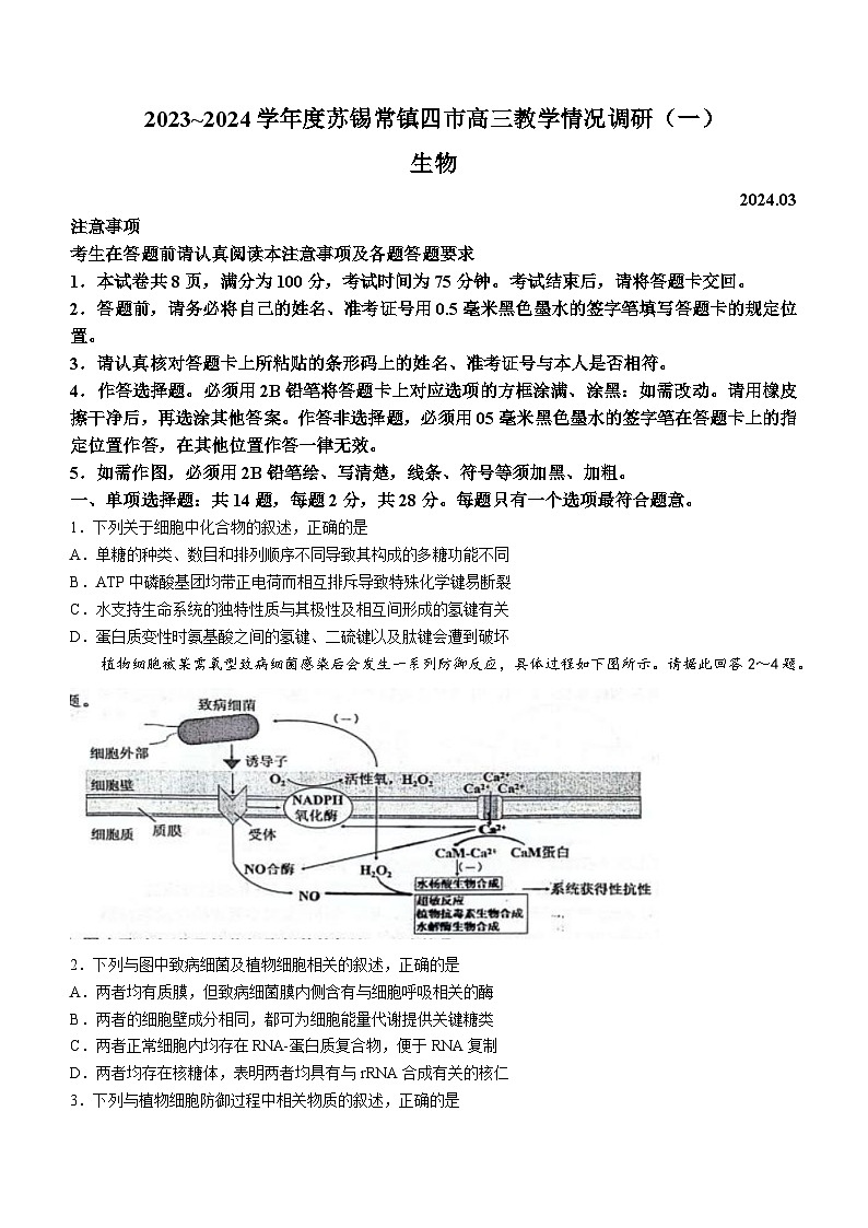 2024届江苏省苏锡常镇四市高三下学期教学情况调研(一)+生物试题01