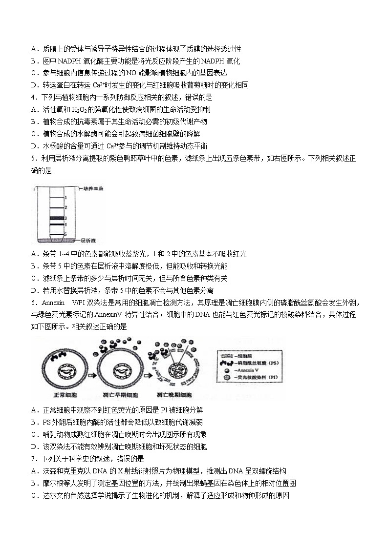 2024届江苏省苏锡常镇四市高三下学期教学情况调研(一)+生物试题02