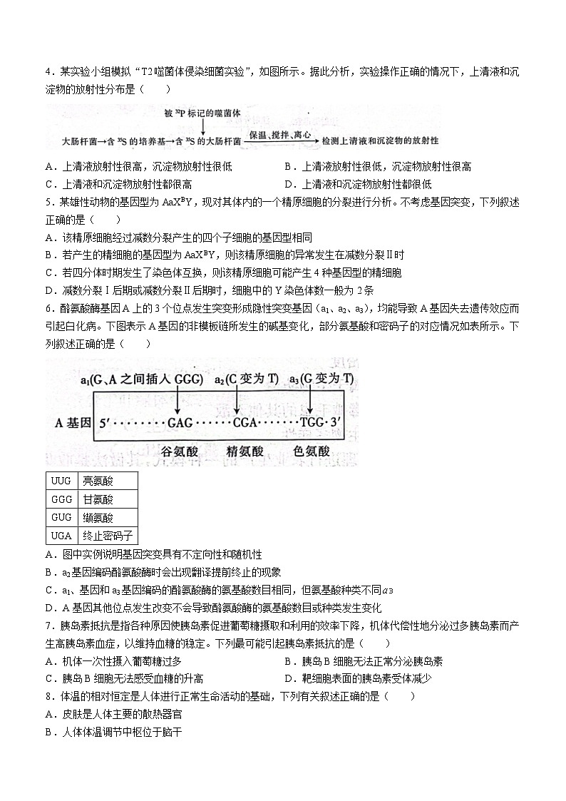 2024届辽宁省辽阳市高三一模生物试题02