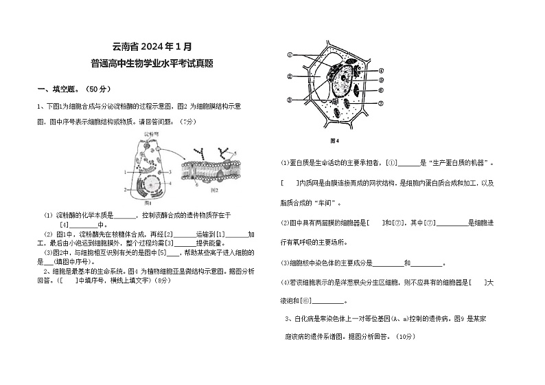 云南省2024年1月普通高中生物学业水平考试真题第1页