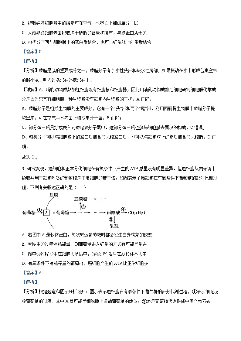 精品解析：2024届贵州省高考备考诊断联考二模生物试题（解析版）第2页