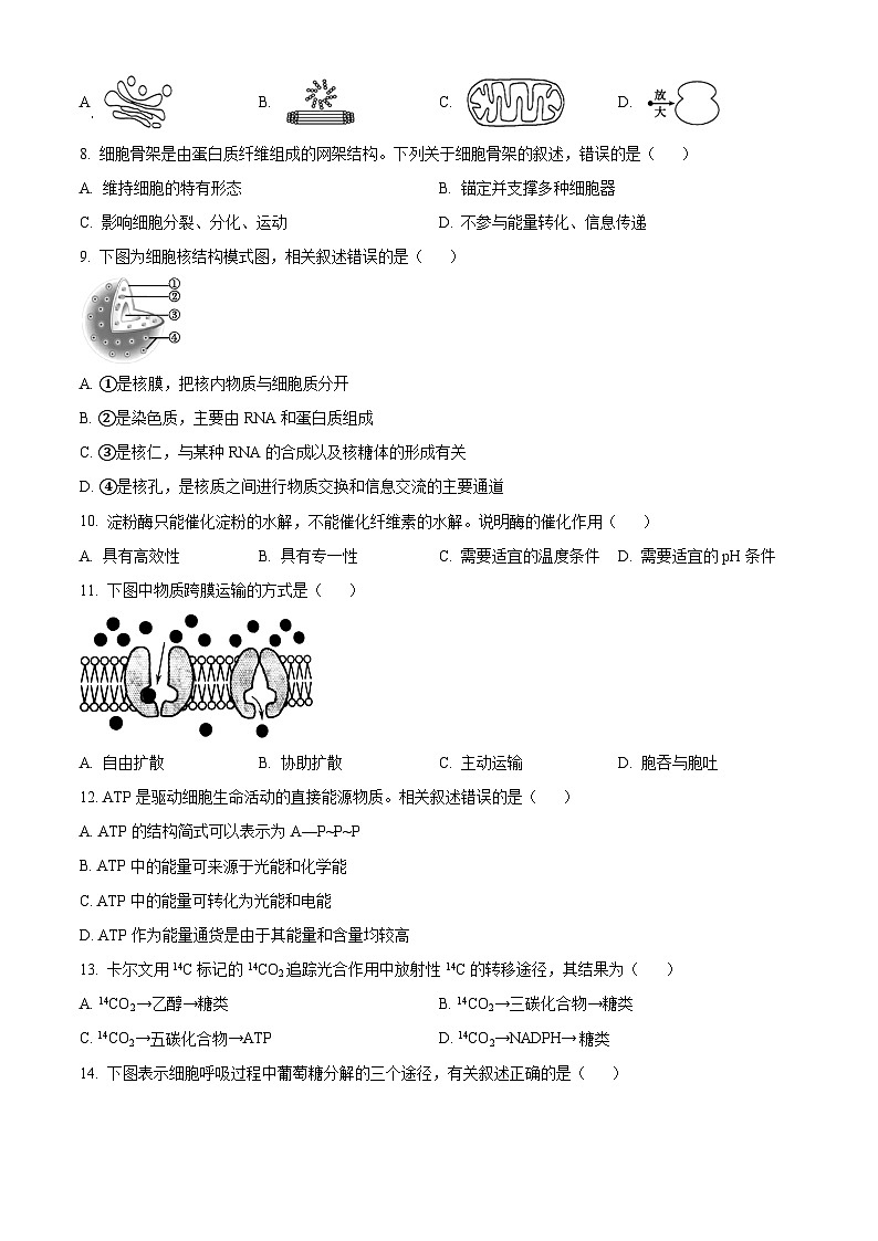 精品解析：2024年江苏省普通高中学业水平合格性考试调研生物学试题（原卷版）第2页