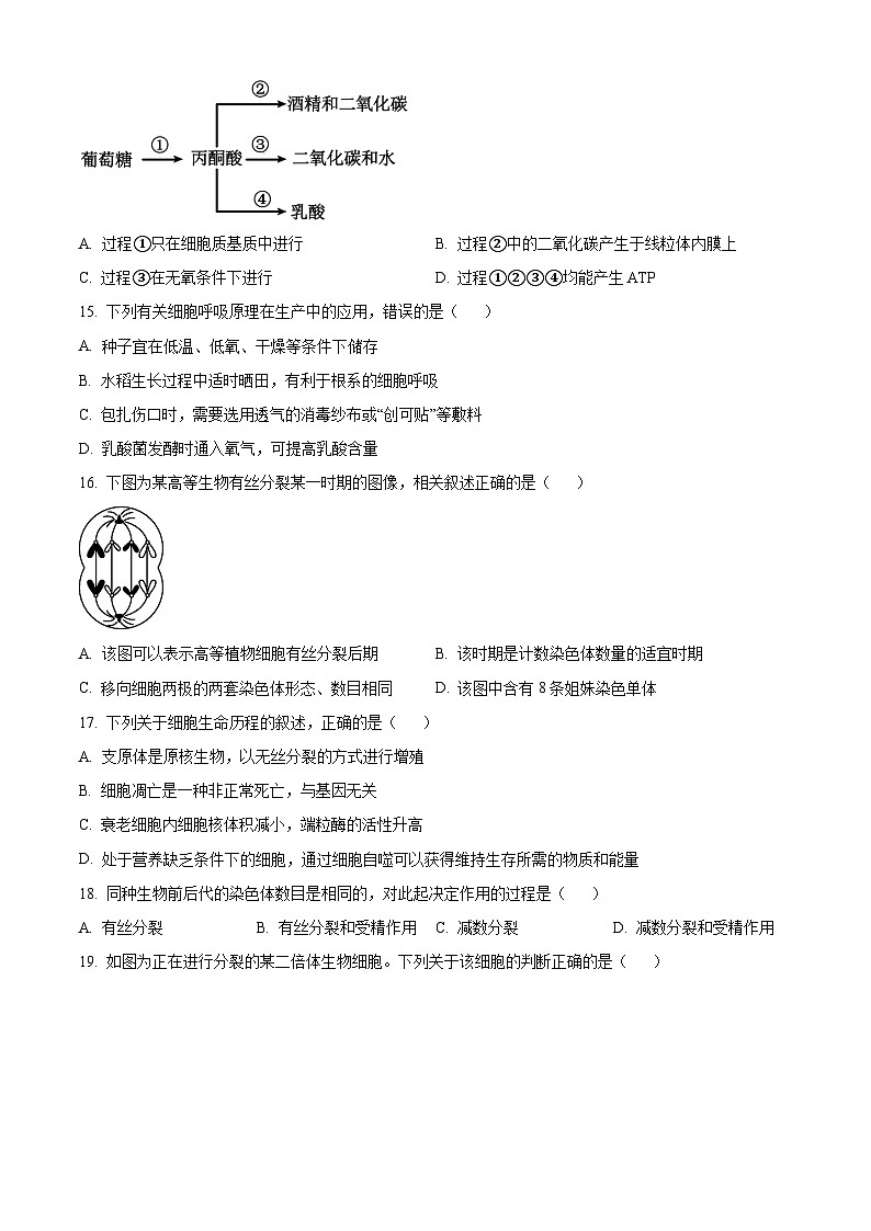 精品解析：2024年江苏省普通高中学业水平合格性考试调研生物学试题（原卷版）第3页