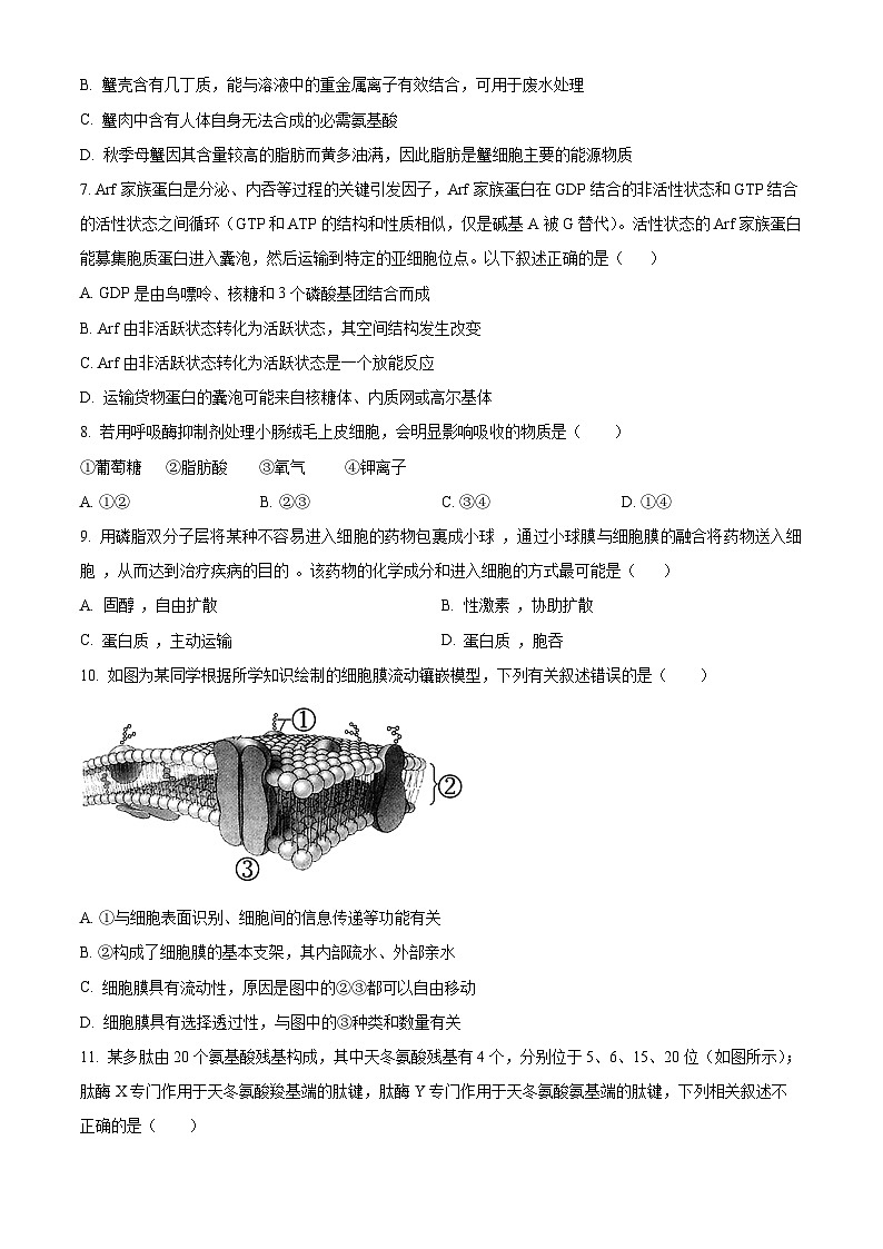 2024省哈尔滨师大附中高一下学期开学考试生物含解析02
