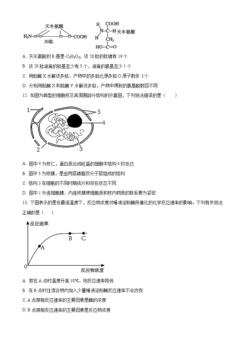 2024省哈尔滨师大附中高一下学期开学考试生物含解析03