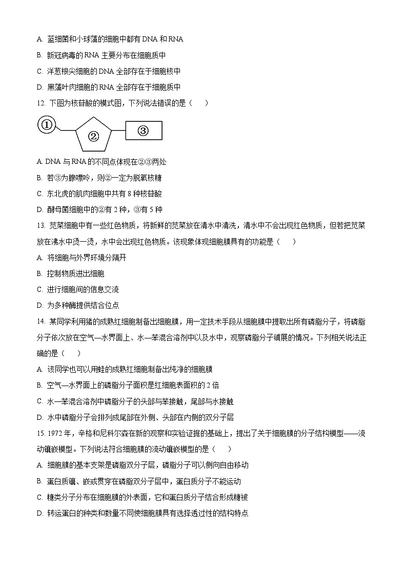 2024成都蓉城名校联盟高一下学期开学考试生物含解析03