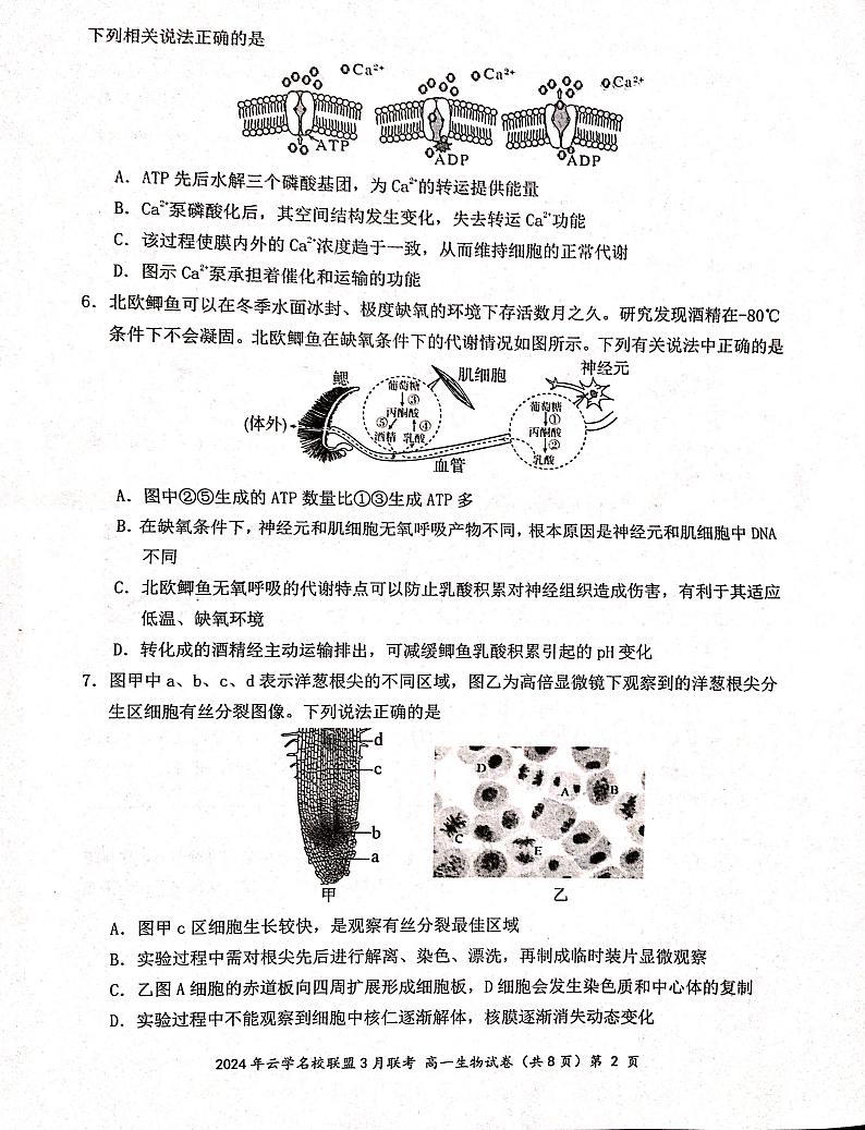 生物-湖北省云学名校联盟2023-2024学年高一下学期3月联考试题及答案第2页