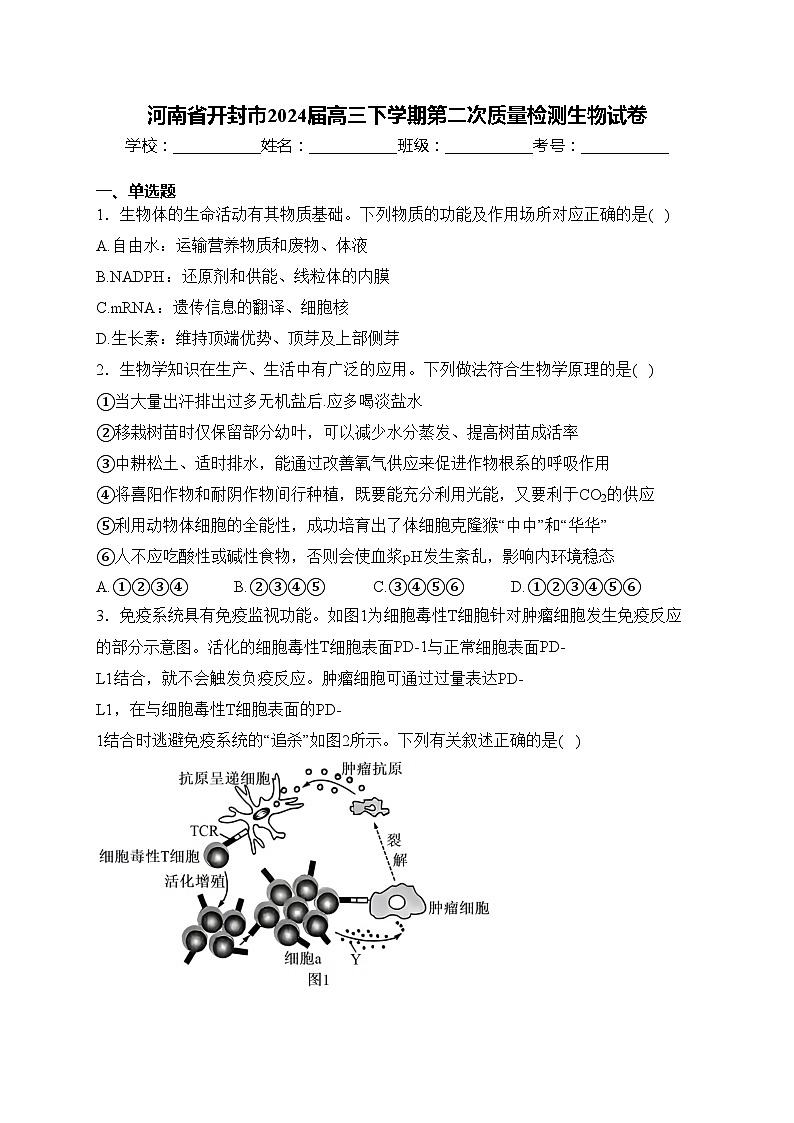河南省开封市2024届高三下学期第二次质量检测生物试卷(含答案)01