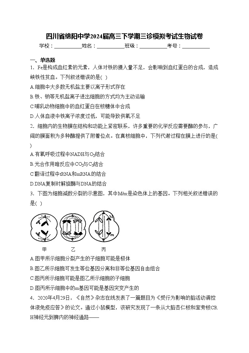 四川省绵阳中学2024届高三下学期三诊模拟考试生物试卷(含答案)01