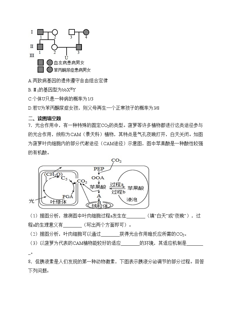 四川省绵阳中学2024届高三下学期三诊模拟考试生物试卷(含答案)03