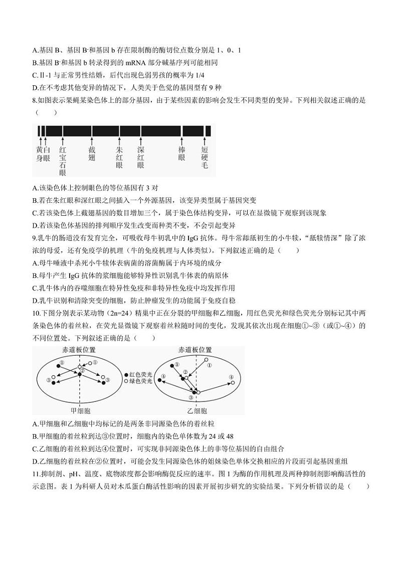 湖南省邵阳市2024届高三下学期二模生物试题 Word版含答案03