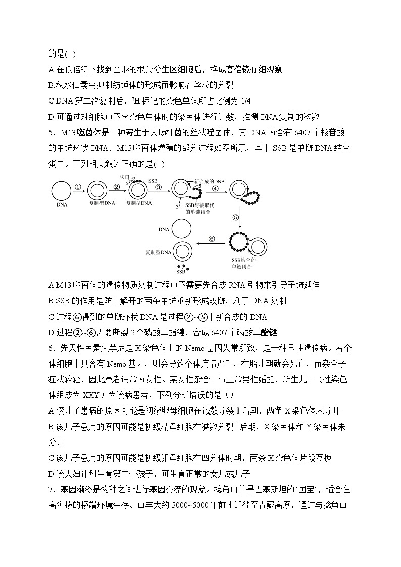 2024届新高考生物精英模拟卷 【山东版】第2页