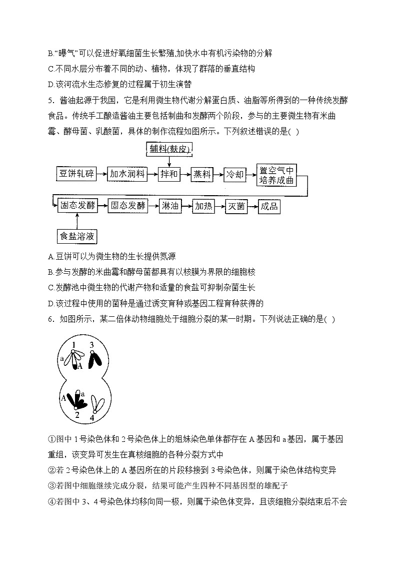 2024届新高考生物精英模拟卷 【新课标卷】第2页