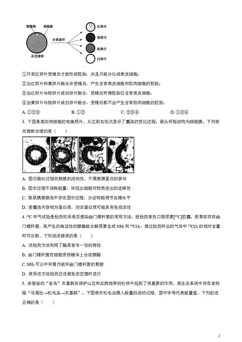 2024届安徽省合肥市高三一模生物试题无答案02