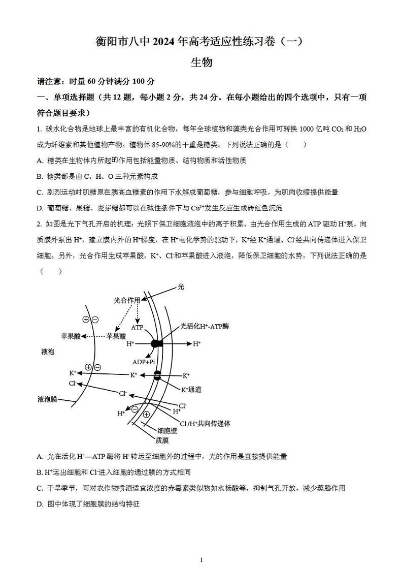 2024届湖南省衡阳市雁峰区衡阳市八中高三高考适应性练习（一）生物试题无答案第1页
