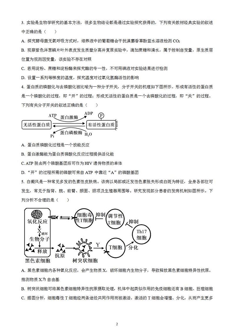 2024届湖南省衡阳市雁峰区衡阳市八中高三高考适应性练习（一）生物试题无答案第2页
