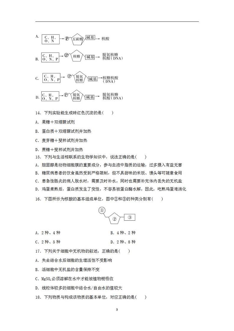 2024届高考生物学业水平测试复习合格演练测评一细胞的分子组成第3页