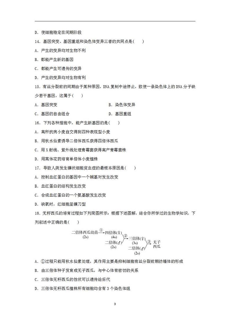 2024届高考生物学业水平测试复习合格演练测评十基因突变及其他变异第3页